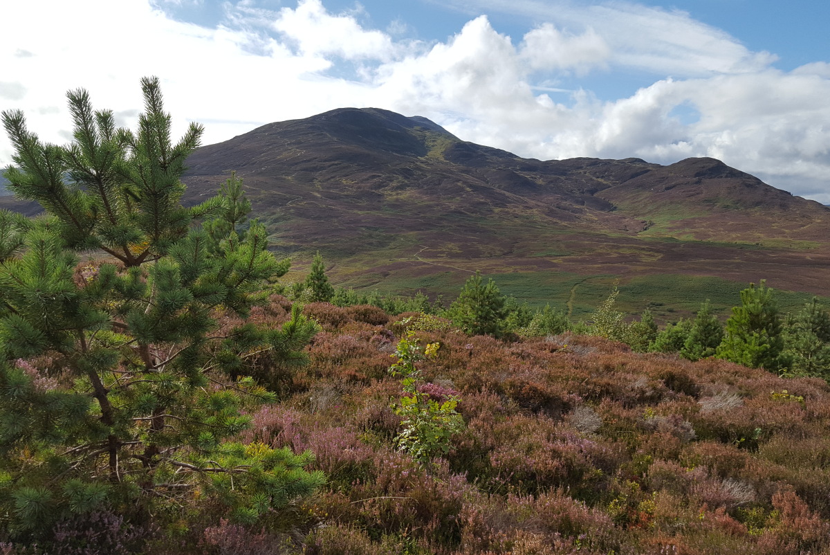 Daisy Clark: View from Dun Coillich to Schiehallion