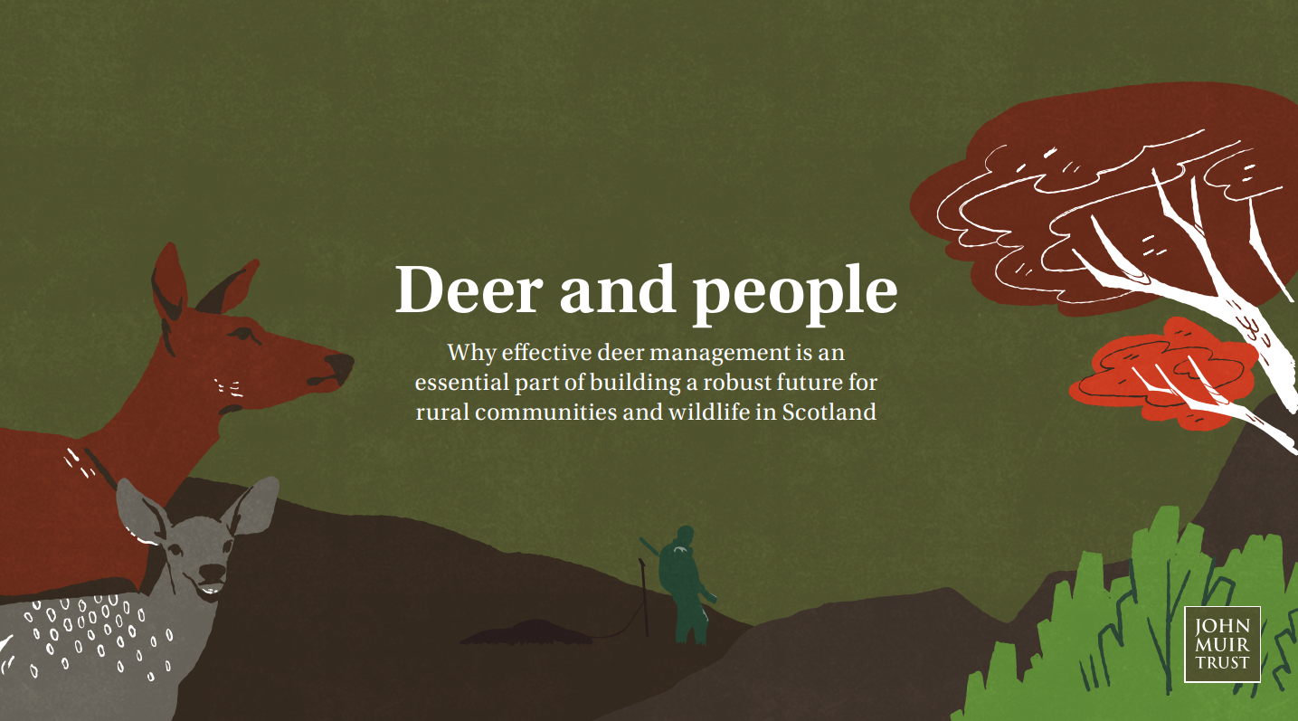 Deer infographic cover