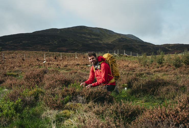 Ben Lomond Gin - Tom Corke