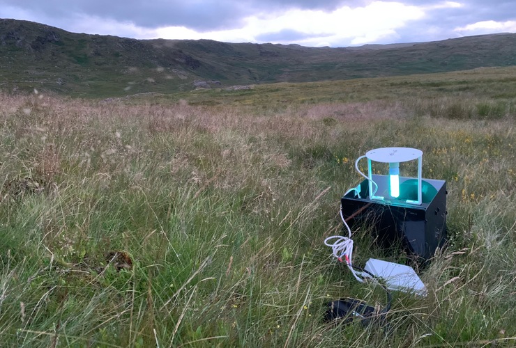 Moth trap at Thirlmere Aug24