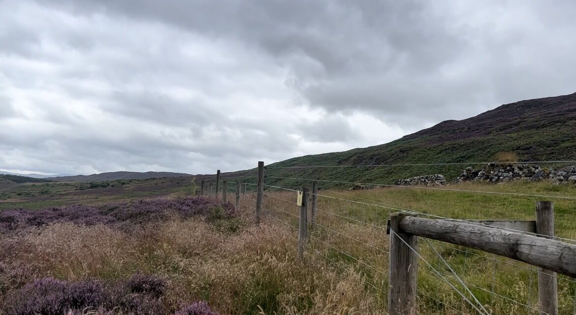 Deer fence