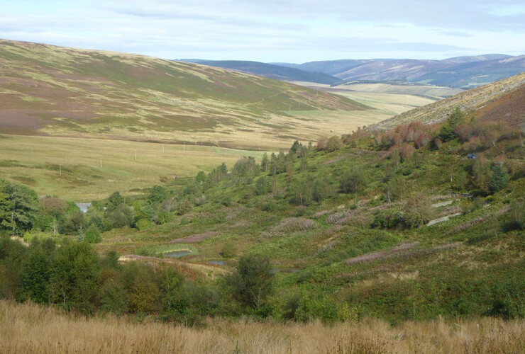 Glenlude - Friends of the Pentlands visit