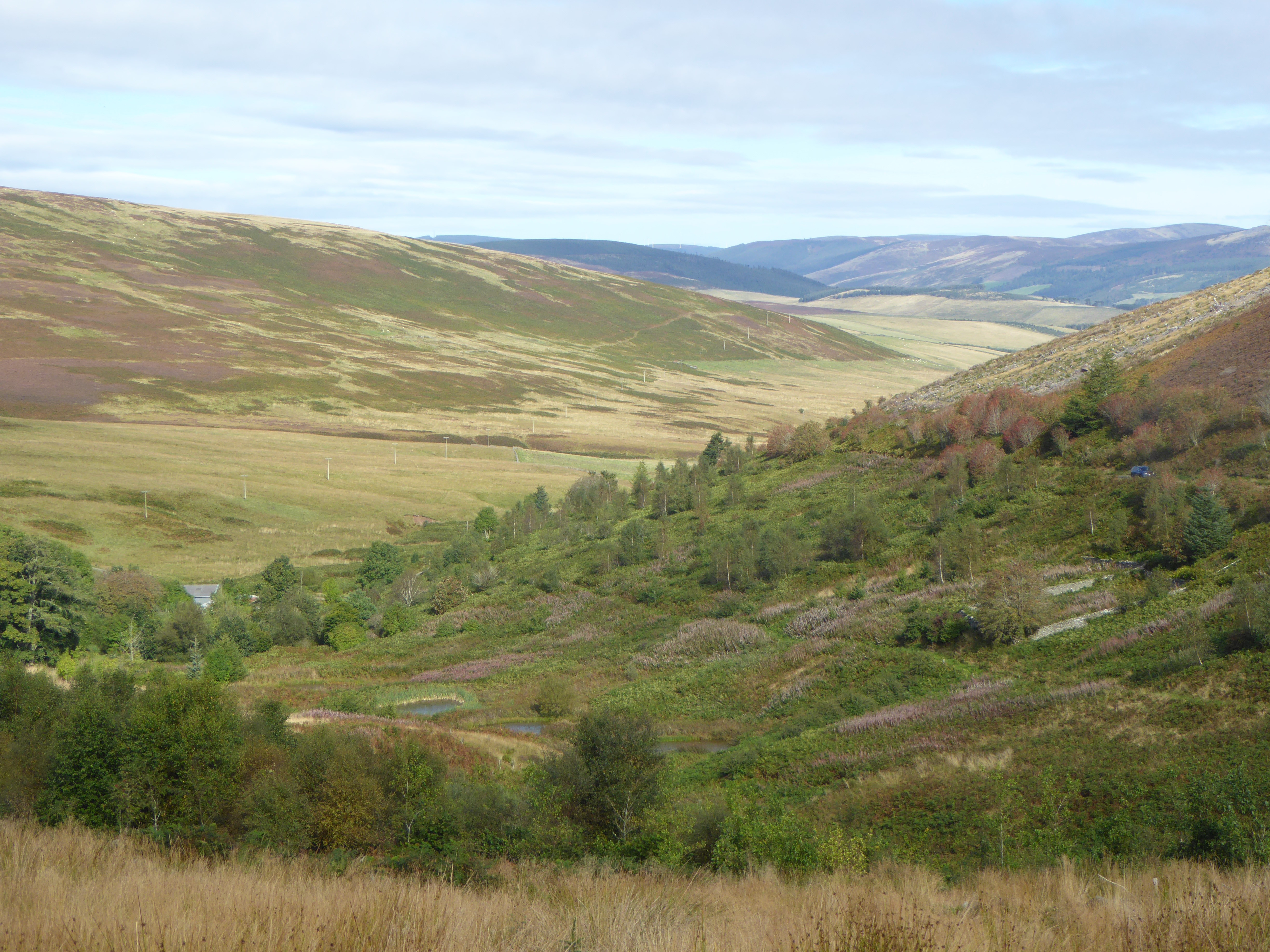 Glenlude - Friends of the Pentlands visit