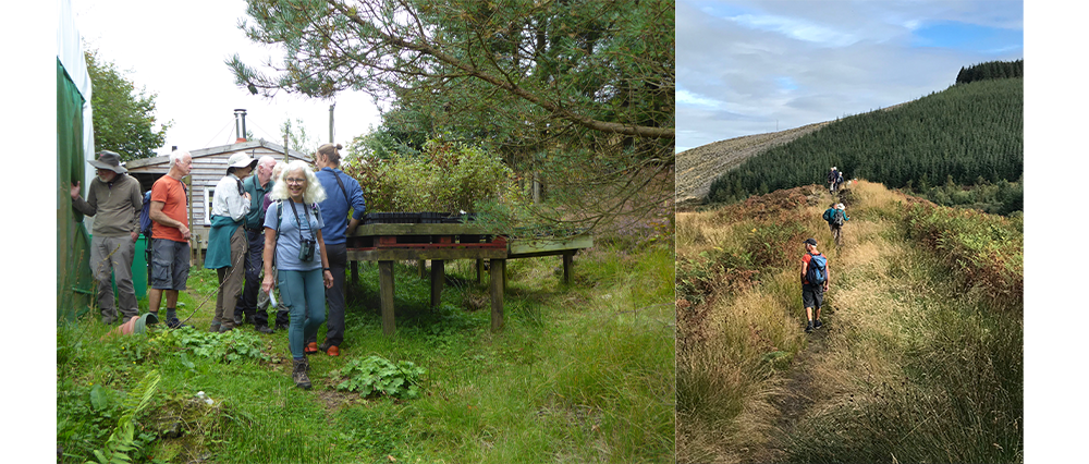 Glenlude nursery and hillside - Friends of the Penlands