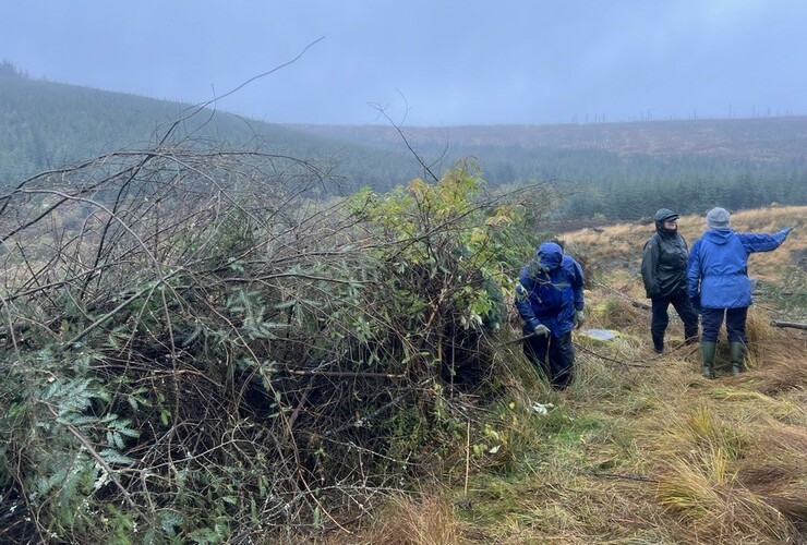 volunteers at glenlude