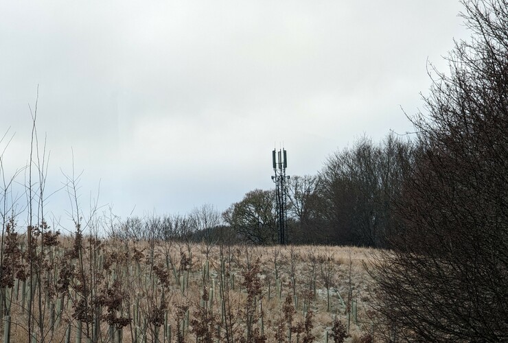 Telecom mast in rural area