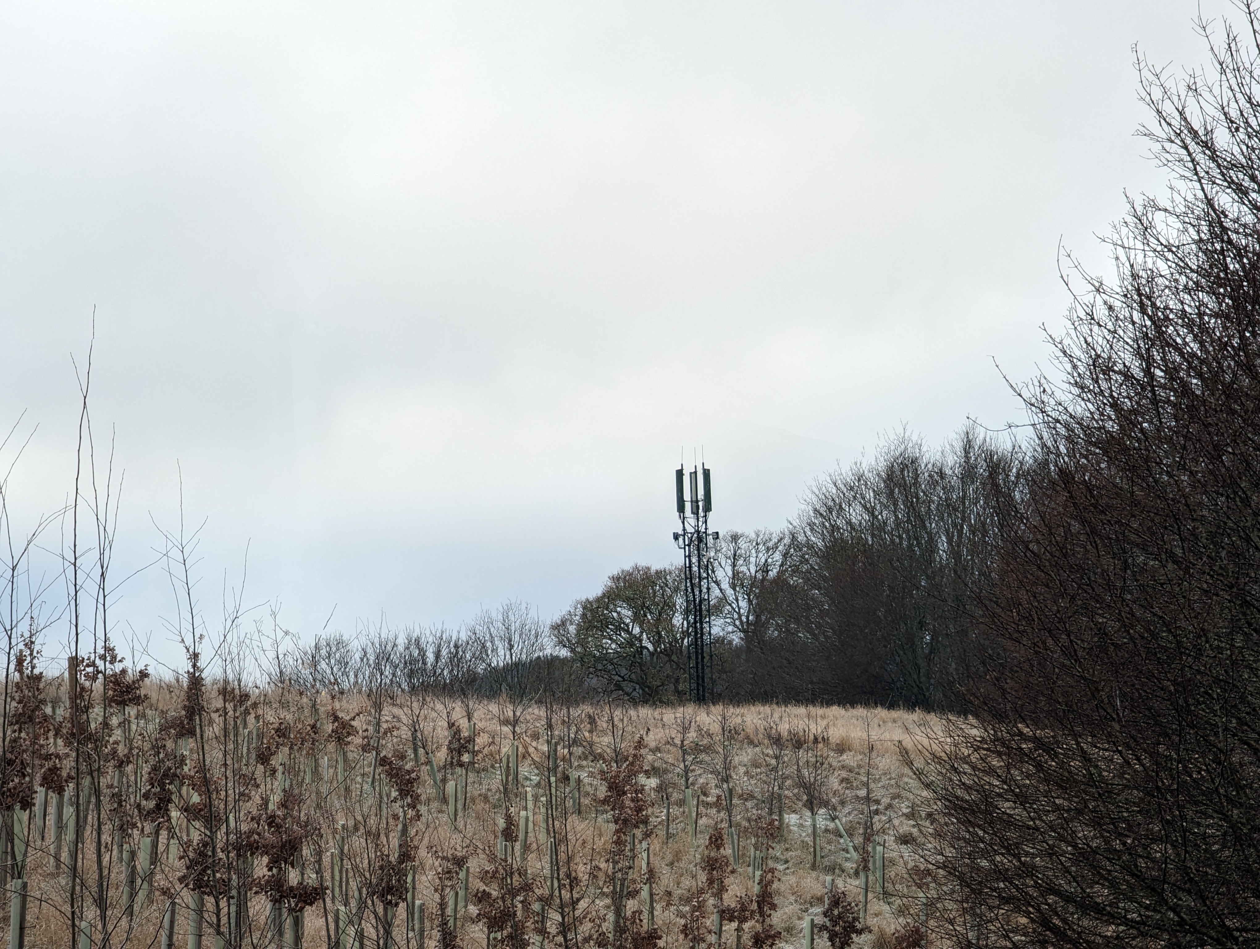 Telecom mast in rural area