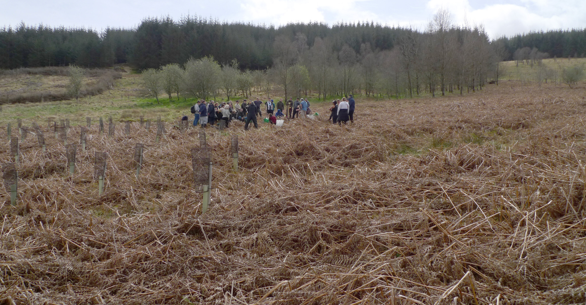 Phoenix Futures at Glenlude