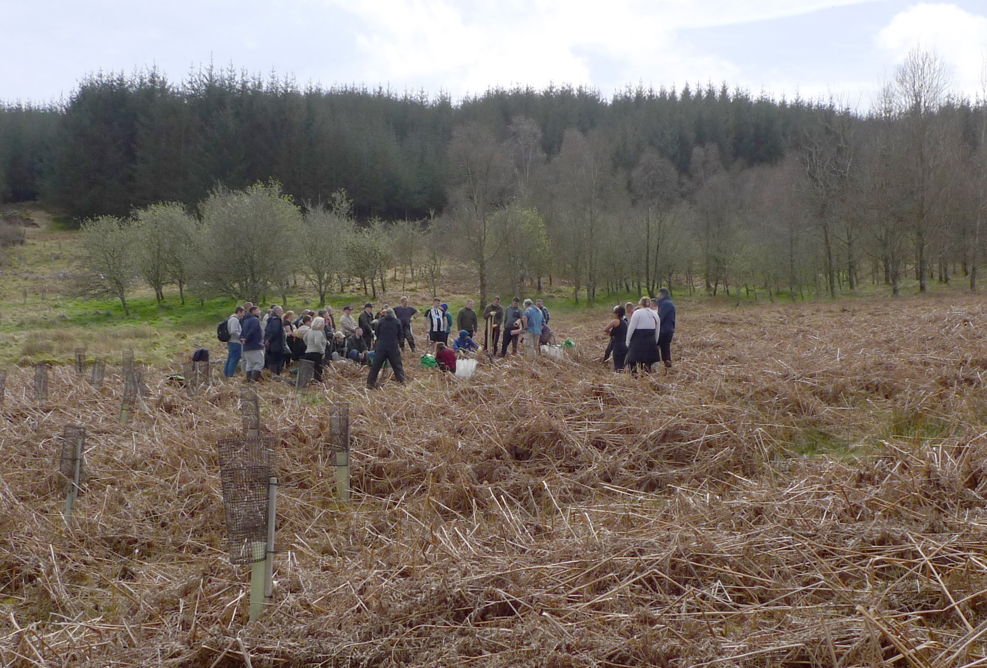 Phoenix Futures at Glenlude