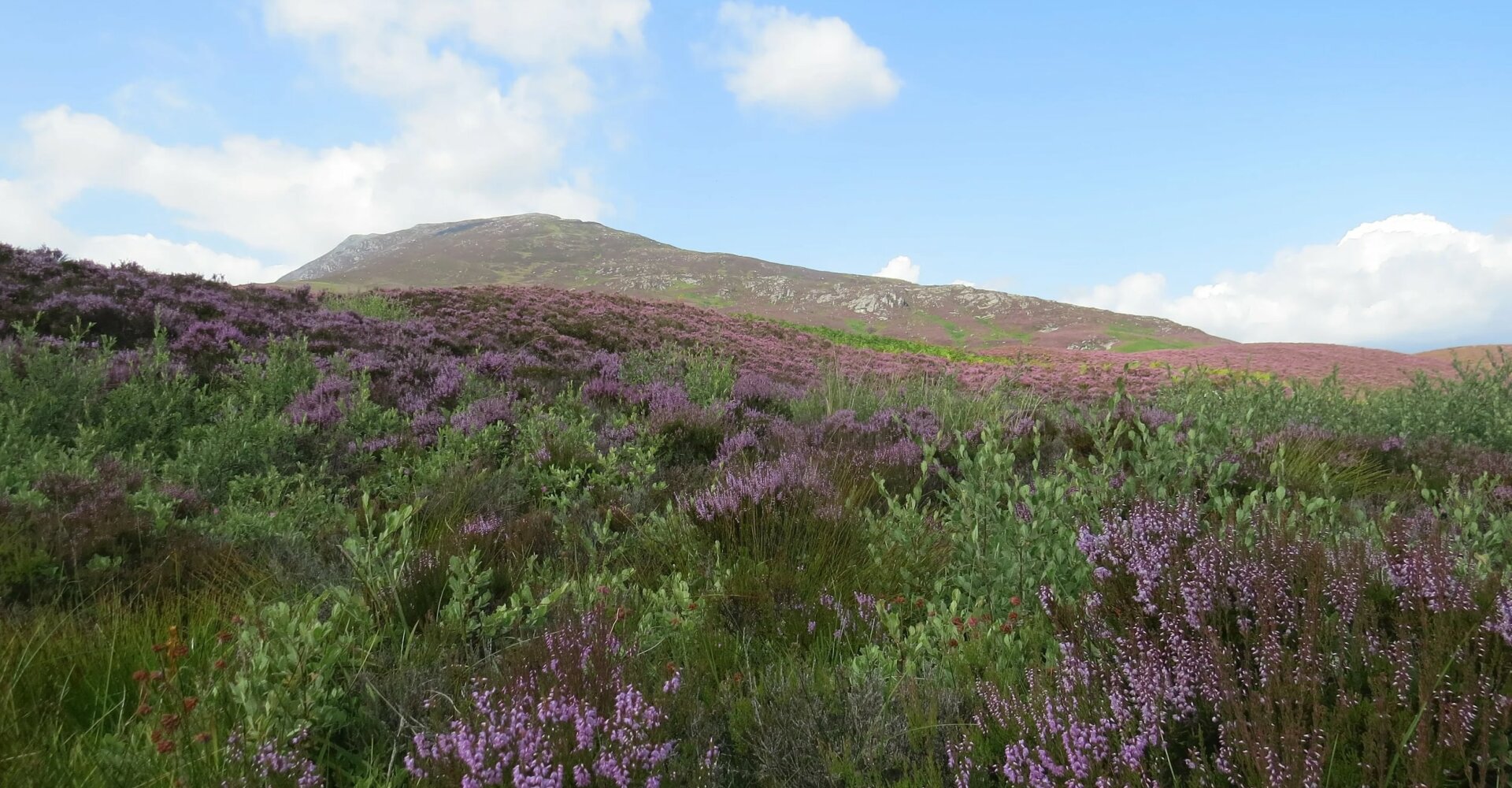 Autumn 25 Appeal cover image