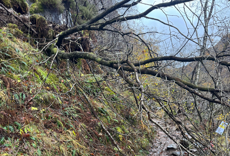 Steall path storm damage