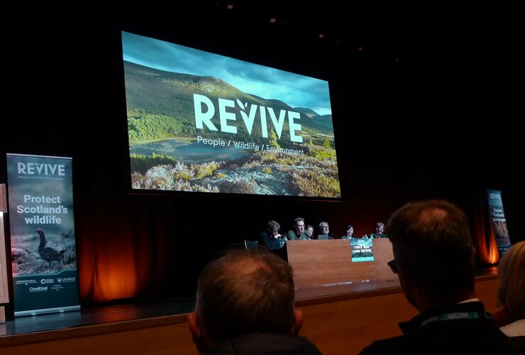 REVIVE conf in Perth panel with Thomas Widrow 2025