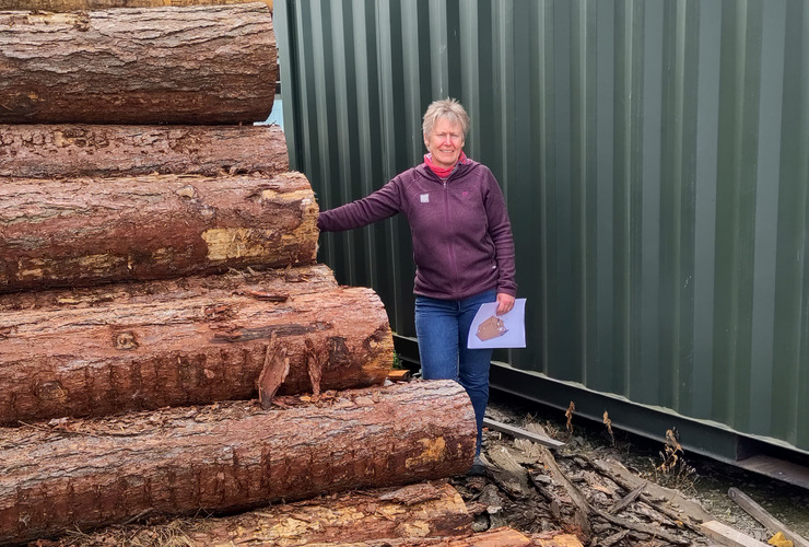 Gathering Shelter timber